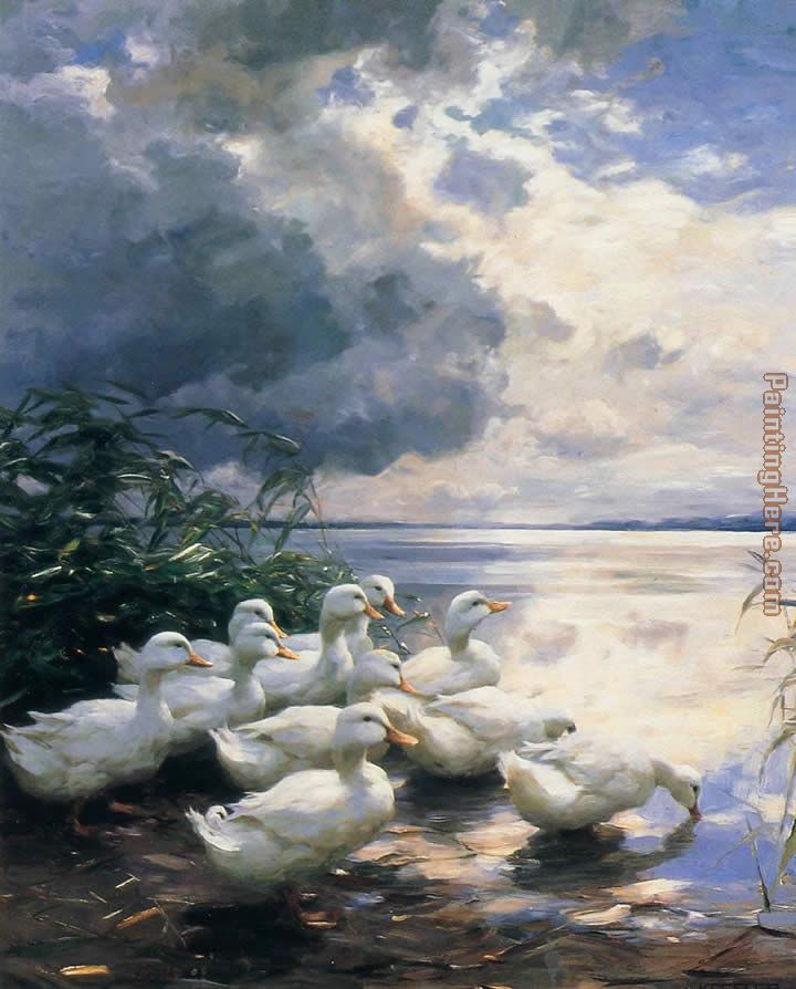 Alexander Koester Ducks in the Morning